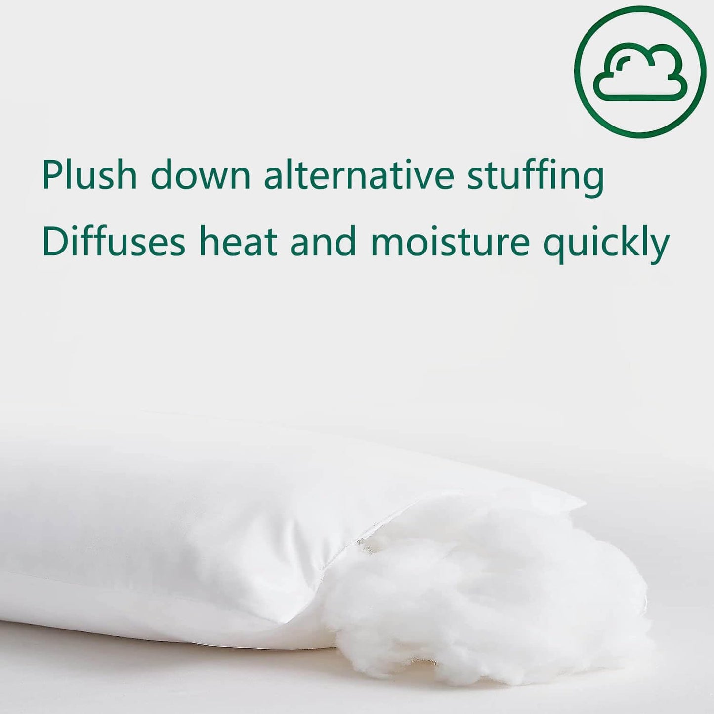 Squishy Flat Bed Pillows Queen Size Set of 2 Extra Soft Thin Pillow for Stomach Sleeping Adults Kids Back Sleeper Plush Fluffy White 20x30 inches