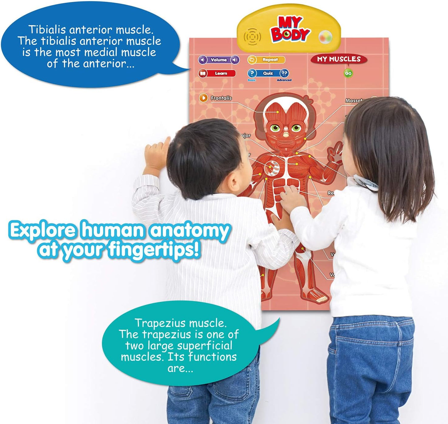 BEST LEARNING i-Poster My Body - Interactive Educational Human Anatomy Talking Game Toy | Learn Body Parts, Organs, Muscles and Bones for Kids Aged 5 to 12 Years Old
