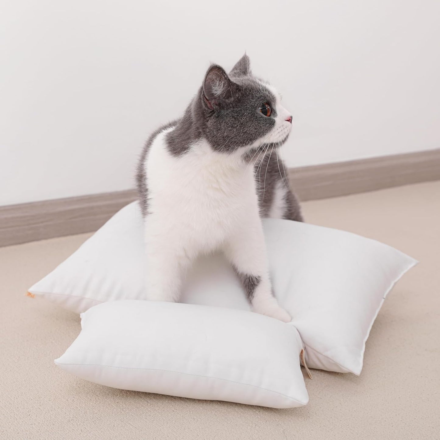 NTBAY Tiny Pillows, Down Alternative 7"x11" Microfiber Mini Pillows for Travel, Pets, Soft Machine Washable Small Pillows for Neck, Wrist, Lumbar and Knee, Purple